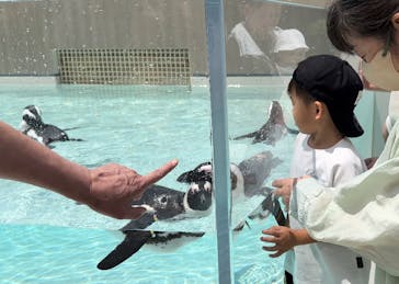 マリンワールド海の中道に投稿された画像（2024/7/13）