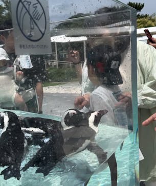 マリンワールド海の中道に投稿された画像（2024/7/13）