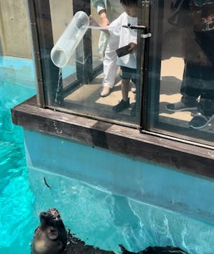 マリンワールド海の中道に投稿された画像（2024/7/13）