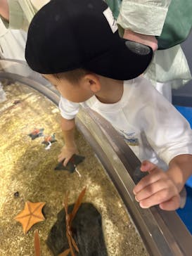 マリンワールド海の中道に投稿された画像（2024/7/13）