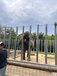 しろとり動物園に投稿された画像（2024/7/13）