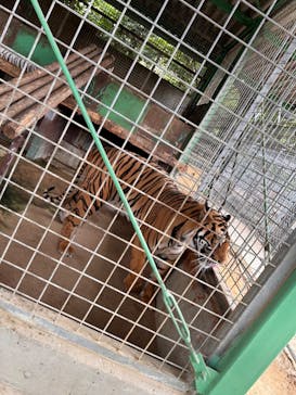 しろとり動物園に投稿された画像（2024/7/13）