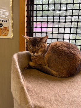 しろとり動物園に投稿された画像（2024/7/13）