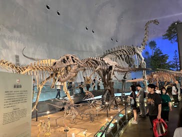 福井県立恐竜博物館に投稿された画像（2024/7/13）