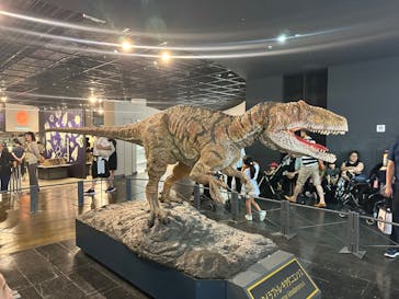 福井県立恐竜博物館に投稿された画像（2024/7/13）