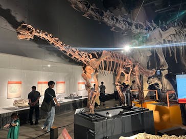 福井県立恐竜博物館に投稿された画像（2024/7/13）