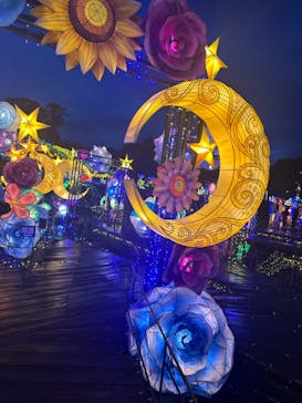 伊豆ぐらんぱる公園に投稿された画像（2024/7/13）