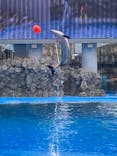 名古屋港水族館に投稿された画像（2024/7/13）