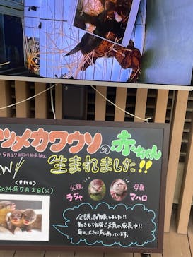 サンシャイン水族館に投稿された画像（2024/7/13）