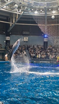 マクセル アクアパーク品川に投稿された画像（2024/7/13）