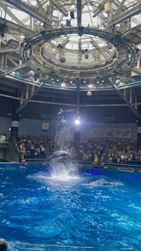 マクセル アクアパーク品川に投稿された画像（2024/7/13）