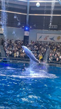 マクセル アクアパーク品川に投稿された画像（2024/7/13）