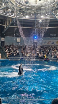 マクセル アクアパーク品川に投稿された画像（2024/7/13）