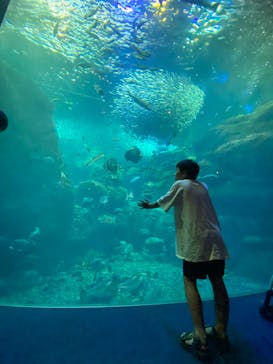 新江ノ島水族館に投稿された画像（2024/7/13）
