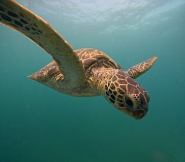  マリンショップHAPPYに投稿された画像（2024/7/13）