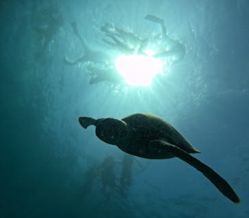  マリンショップHAPPYに投稿された画像（2024/7/13）