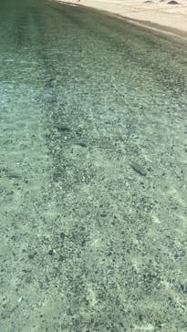 ON SHORE（オンショア）に投稿された画像（2024/7/13）