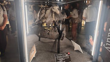 福井県立恐竜博物館に投稿された画像（2024/7/13）