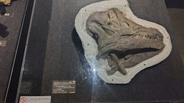 福井県立恐竜博物館に投稿された画像（2024/7/13）