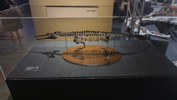 福井県立恐竜博物館に投稿された画像（2024/7/13）
