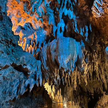 CAVE OKINAWAに投稿された画像（2024/7/13）