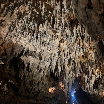 CAVE OKINAWAに投稿された画像（2024/7/13）