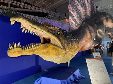 巨大恐竜展2024に投稿された画像（2024/7/13）