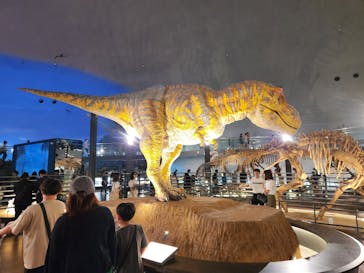 福井県立恐竜博物館に投稿された画像（2024/7/13）