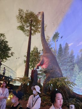 福井県立恐竜博物館に投稿された画像（2024/7/13）