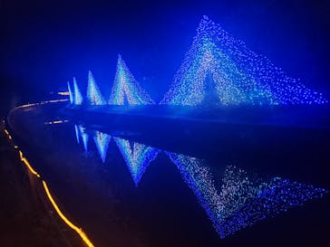 KYOTO ILLUMINATION SYNESTHESIA HILLS るり渓温泉に投稿された画像（2024/7/13）