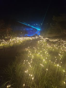 KYOTO ILLUMINATION SYNESTHESIA HILLS るり渓温泉に投稿された画像（2024/7/13）