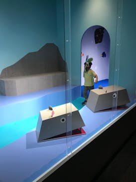 NIFREL（ニフレル）に投稿された画像（2024/7/13）