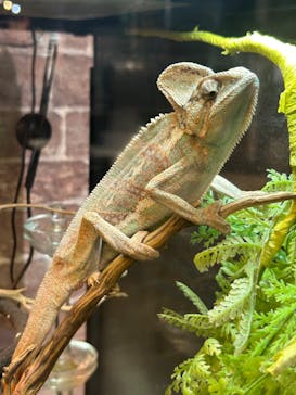 NARA KINGYO MUSEUMに投稿された画像（2024/7/13）