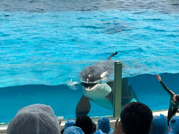 鴨川シーワールドに投稿された画像（2024/7/13）