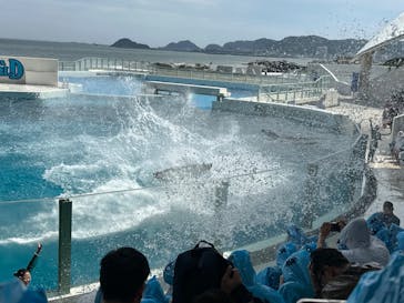 鴨川シーワールドに投稿された画像（2024/7/13）