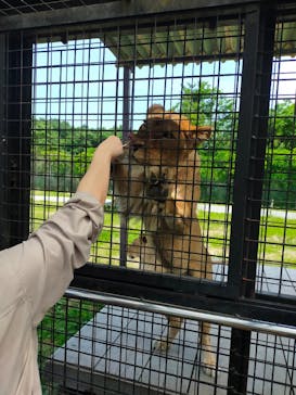 那須サファリパークに投稿された画像（2024/7/13）