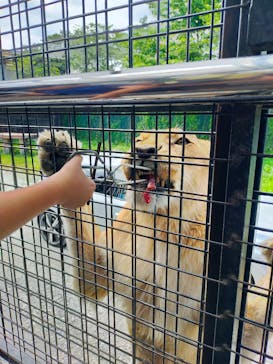 那須サファリパークに投稿された画像（2024/7/13）