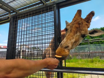 那須サファリパークに投稿された画像（2024/7/13）