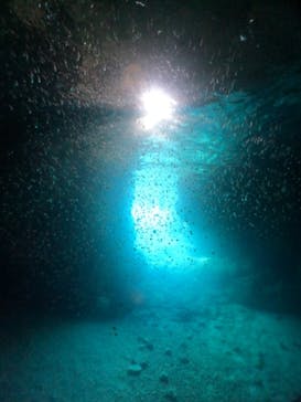 武藤潜水に投稿された画像（2024/7/13）