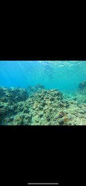 武藤潜水に投稿された画像（2024/7/14）