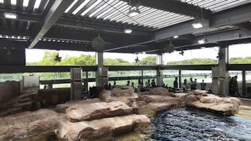 京都水族館に投稿された画像（2024/7/14）