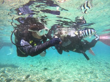 沖縄マリンサービス碧に投稿された画像（2024/7/14）