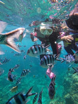 沖縄マリンサービス碧に投稿された画像（2024/7/14）