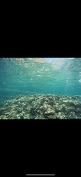 武藤潜水に投稿された画像（2024/7/14）