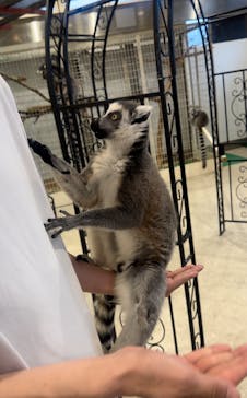 アニタッチみなとみらいに投稿された画像（2024/7/14）