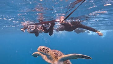 SHISHI石垣島（シシイシガキジマ）に投稿された画像（2024/7/14）