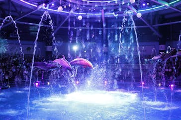 マクセル アクアパーク品川に投稿された画像（2024/7/14）