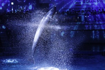 マクセル アクアパーク品川に投稿された画像（2024/7/14）