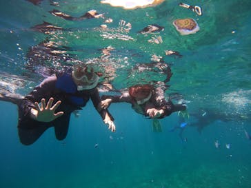 武藤潜水に投稿された画像（2024/7/14）