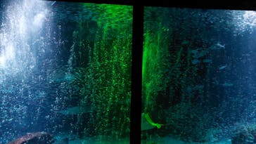 マリンワールド海の中道に投稿された画像（2024/7/14）